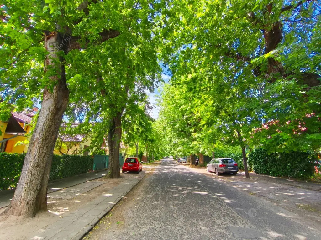 Kiadó albérlet 400000 Ft/hó áron: Budapest, XIX. kerület  Bercsényi utca. Mérete: 90 nm, 1 szobás | Alberlet.hu - 6530750