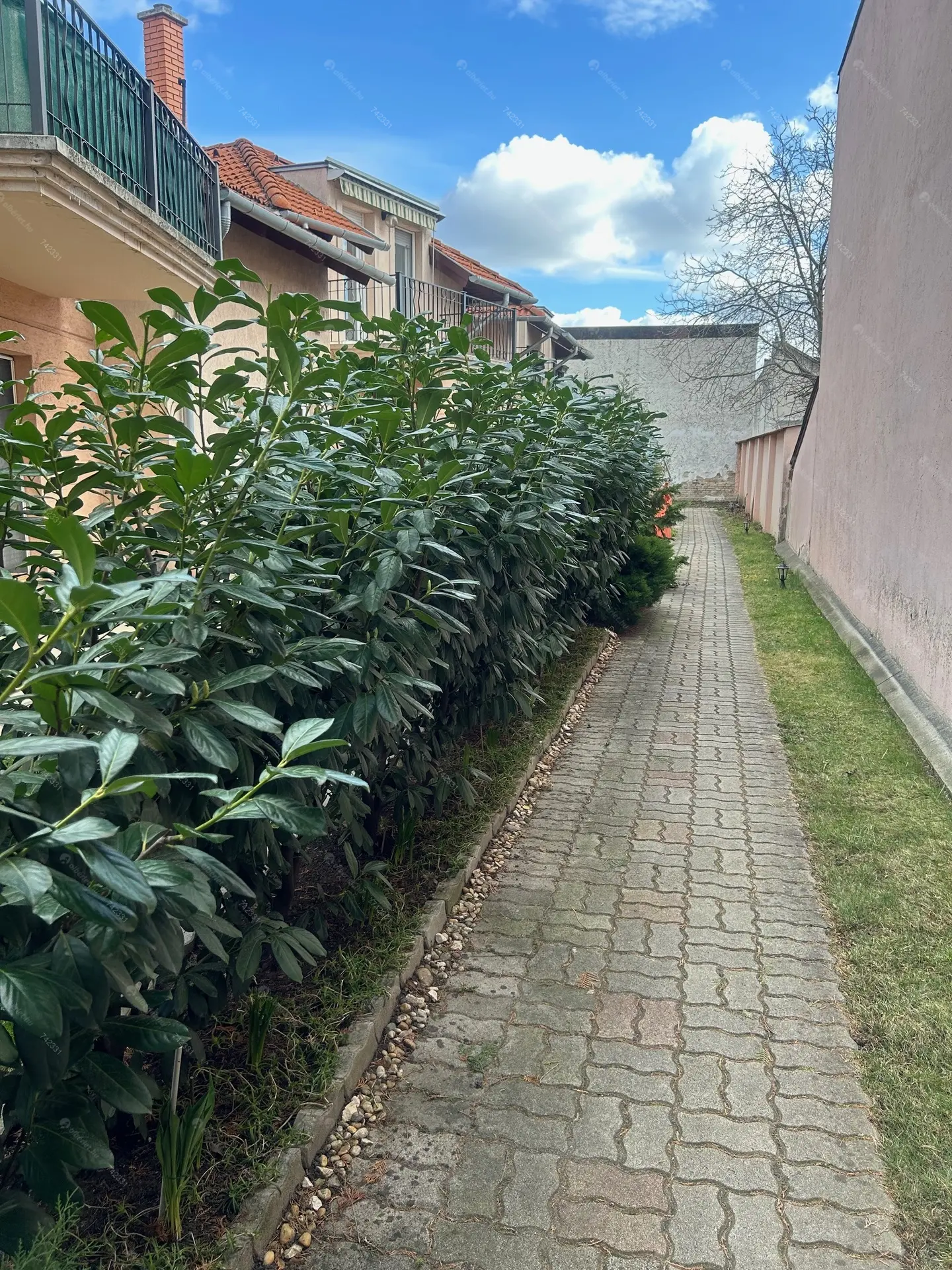 Kiadó albérlet 190000 Ft/hó áron: Budapest, XV. kerület  Kinizsi utca. Mérete: 38 nm, 1 szobás | Alberlet.hu - 6198298