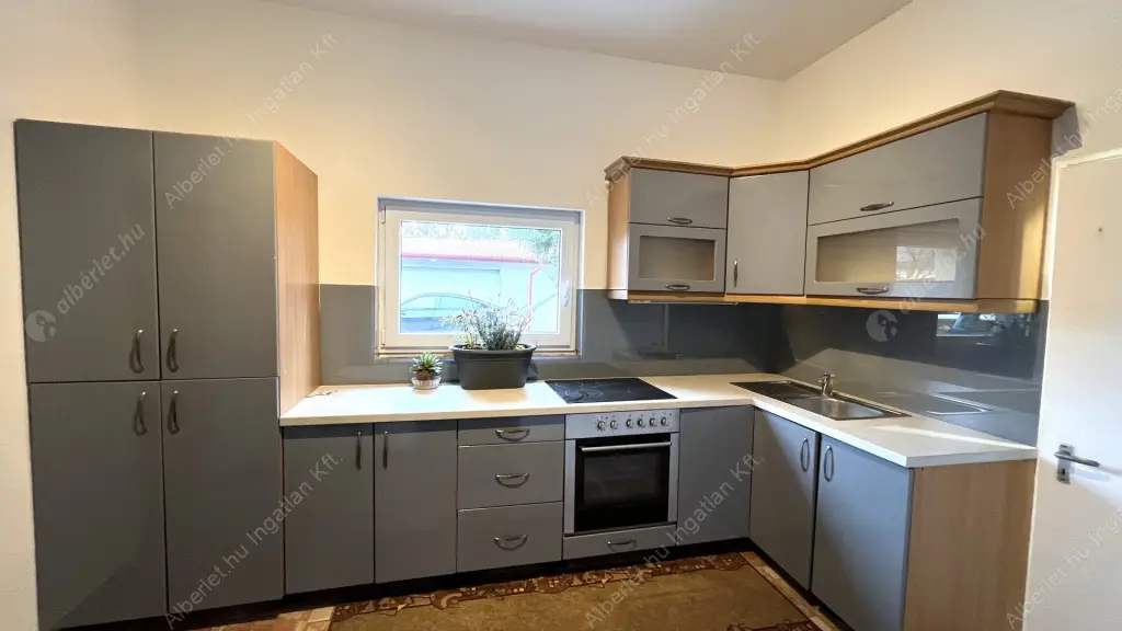 Kiadó albérlet 250000 Ft/hó áron: Budapest, XV. kerület  Vasvári Pál utca. Mérete: 95 nm, 3 szobás | Alberlet.hu - 6602343