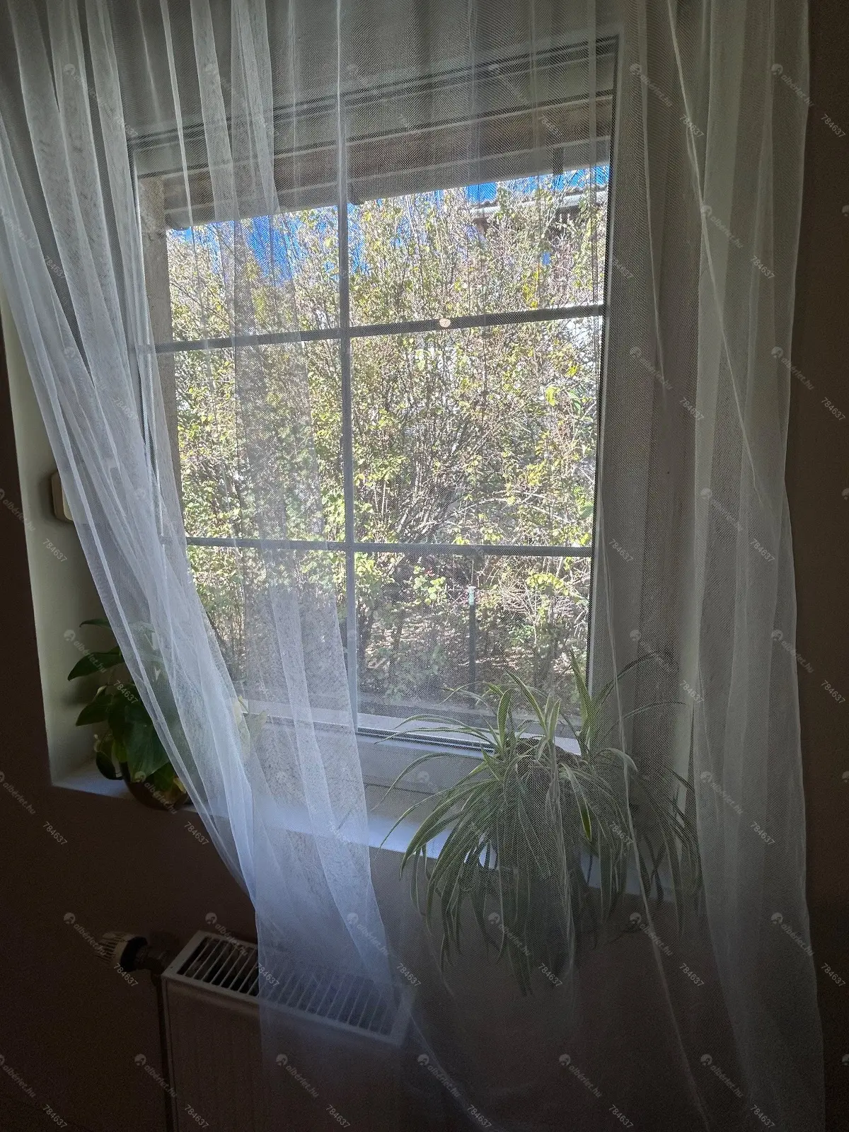 Kiadó albérlet 92000 Ft/hó áron: Budapest, XVI. kerület  Árpádföldi út. Mérete: 13 nm, 1 szobás | Alberlet.hu - 6841314
