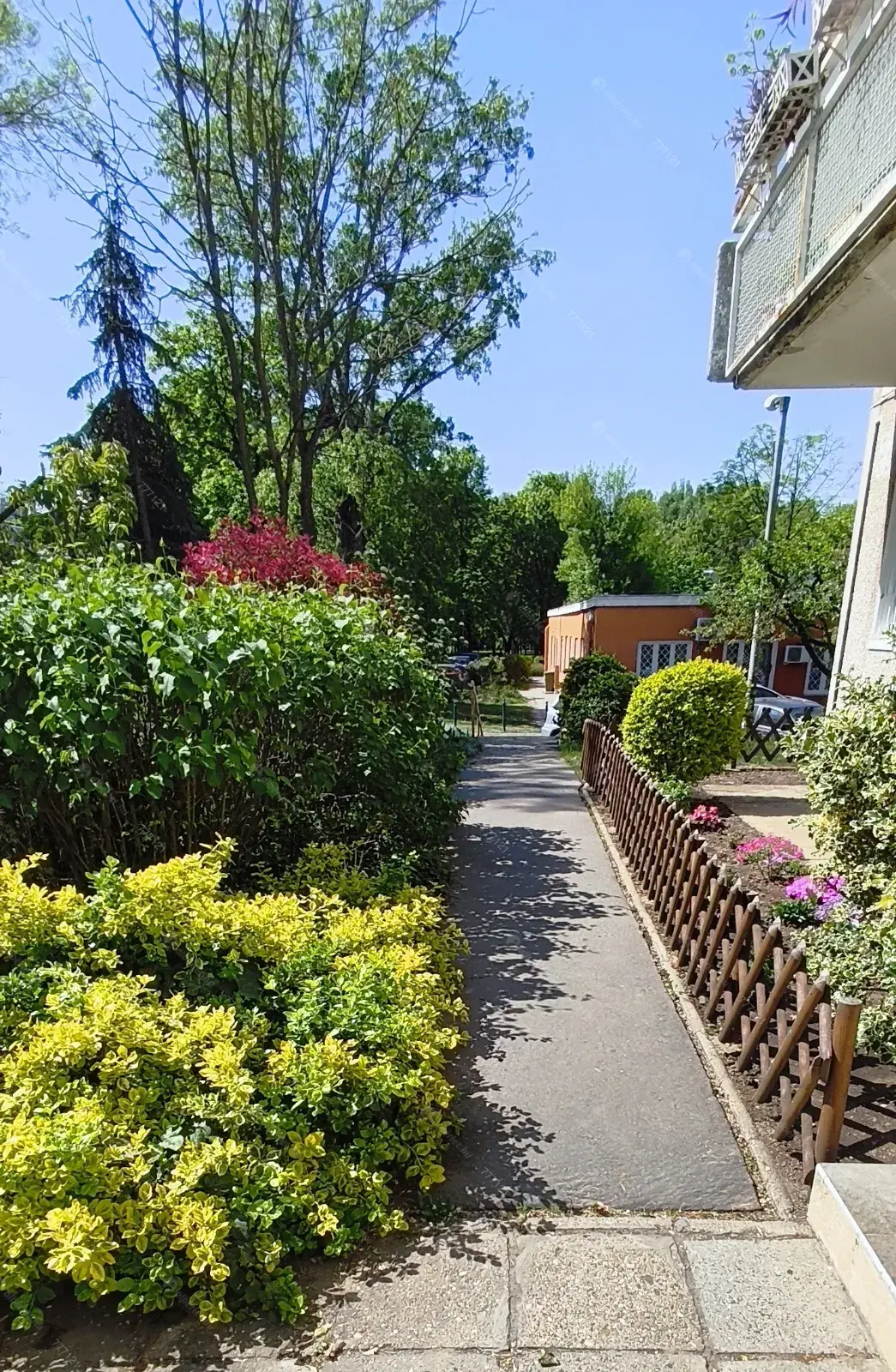 Kiadó albérlet 240000 Ft/hó áron: Budapest, XVI. kerület  Erzsébet-liget . Mérete: 51 nm, 2 szobás | Alberlet.hu - 6704130