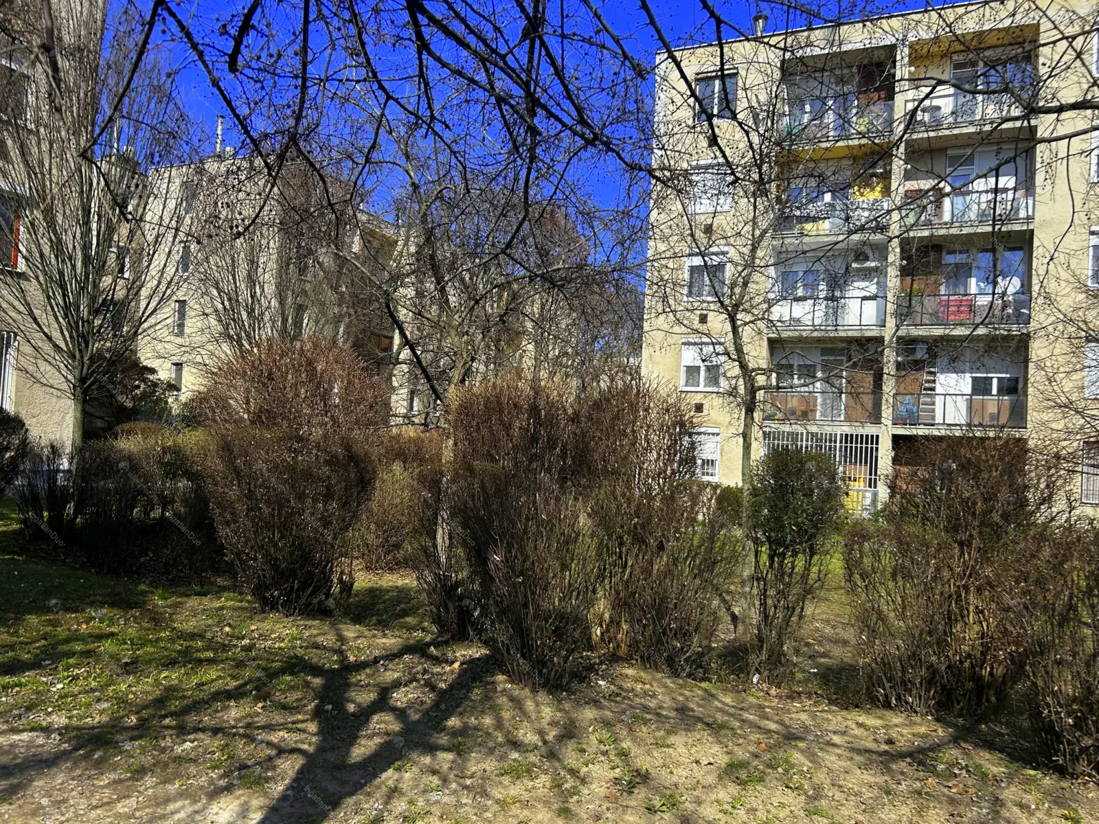 Kiadó albérlet 220000 Ft/hó áron: Budapest, XVI. kerület  Olga utca. Mérete: 56 nm, 1 szobás | Alberlet.hu - 6674468