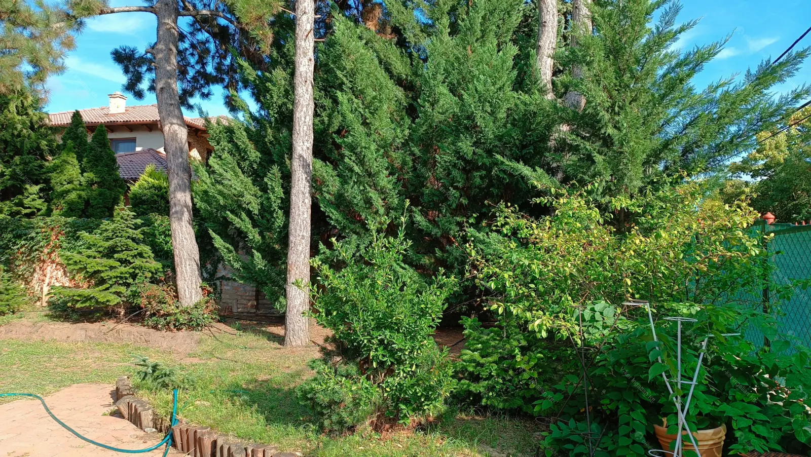 Kiadó albérlet 400000 Ft/hó áron: Budapest, XVIII. kerület  Hargita tér. Mérete: 110 nm, 3 szobás | Alberlet.hu - 6648850