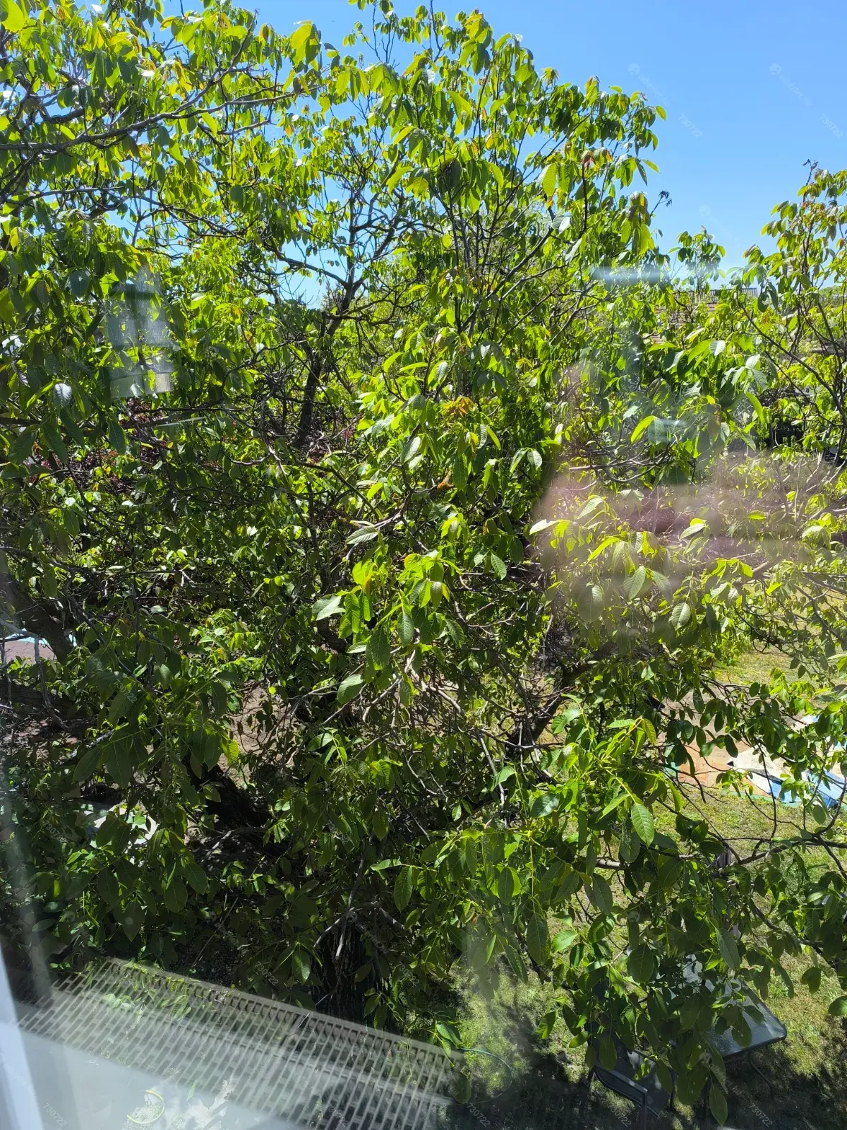 Kiadó albérlet 210000 Ft/hó áron: Budapest, XVIII. kerület  József Attila utca. Mérete: 85 nm, 2 szobás | Alberlet.hu - 6709672