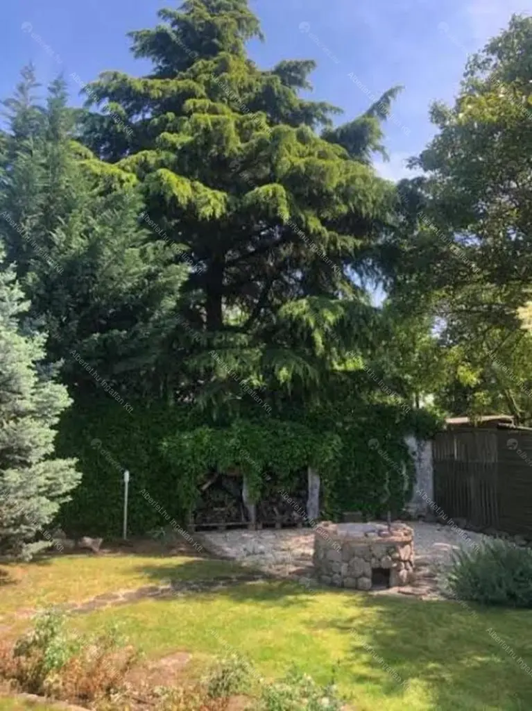 Kiadó albérlet 790000 Ft/hó áron: Budapest, XVIII. kerület  Székelyudvarhely utca. Mérete: 147 nm, 5 szobás | Alberlet.hu - 6662006