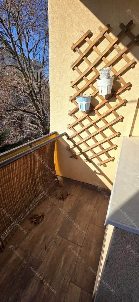 Kiadó albérlet 190000 Ft/hó áron: Budapest, XVIII. kerület  Vikár Béla utca. Mérete: 47 nm, 1 szobás | Alberlet.hu - 6677201