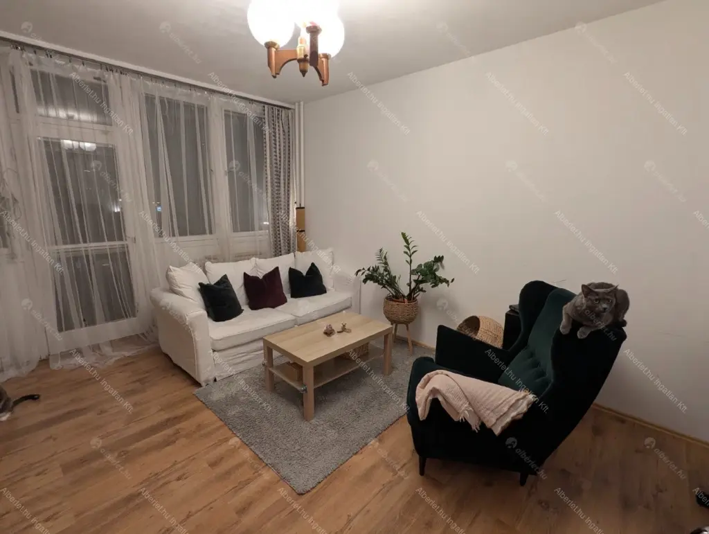 Kiadó albérlet 200000 Ft/hó áron: Budapest, XX. kerület  Bíró Mihály utca. Mérete: 49 nm, 2 szobás | Alberlet.hu - 6689759