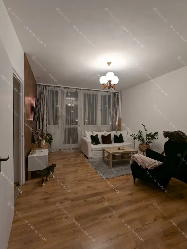 Kiadó albérlet 200000 Ft/hó áron: Budapest, XX. kerület  Bíró Mihály utca. Mérete: 49 nm, 2 szobás | Alberlet.hu - 6689770