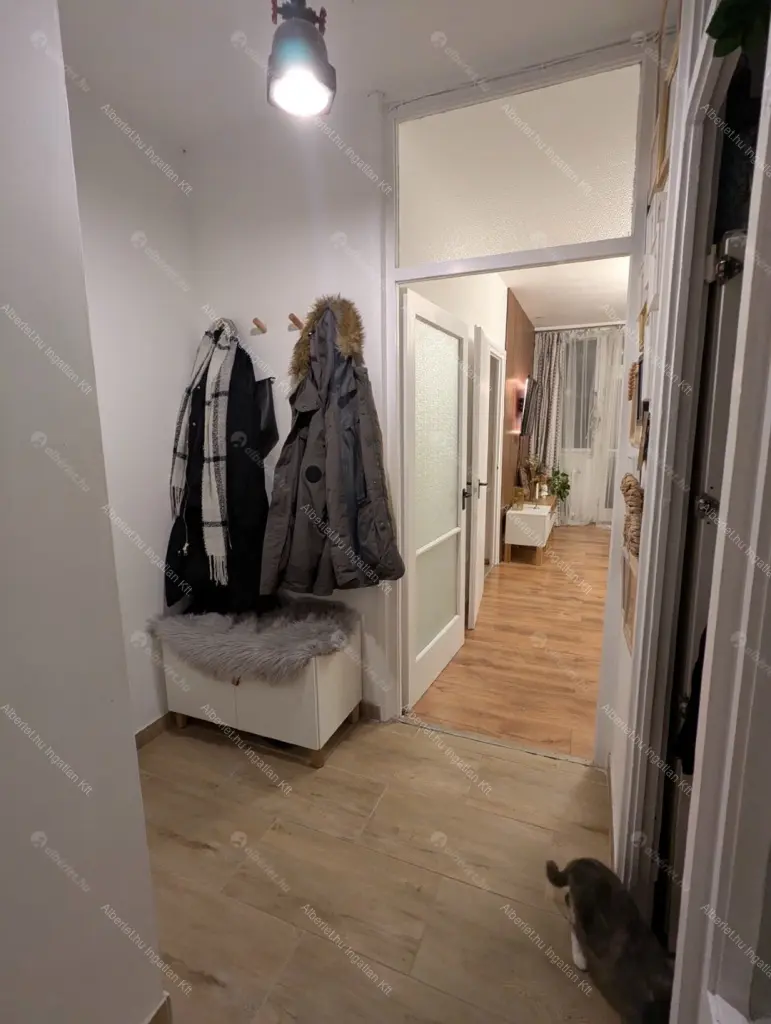 Kiadó albérlet 200000 Ft/hó áron: Budapest, XX. kerület  Bíró Mihály utca. Mérete: 49 nm, 2 szobás | Alberlet.hu - 6689771