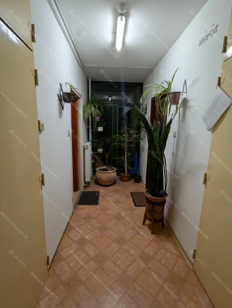 Kiadó albérlet 200000 Ft/hó áron: Budapest, XX. kerület  Bíró Mihály utca. Mérete: 49 nm, 2 szobás | Alberlet.hu - 6689776