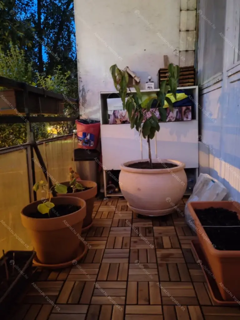 Kiadó albérlet 200000 Ft/hó áron: Budapest, XX. kerület  Bíró Mihály utca. Mérete: 49 nm, 2 szobás | Alberlet.hu - 6689778