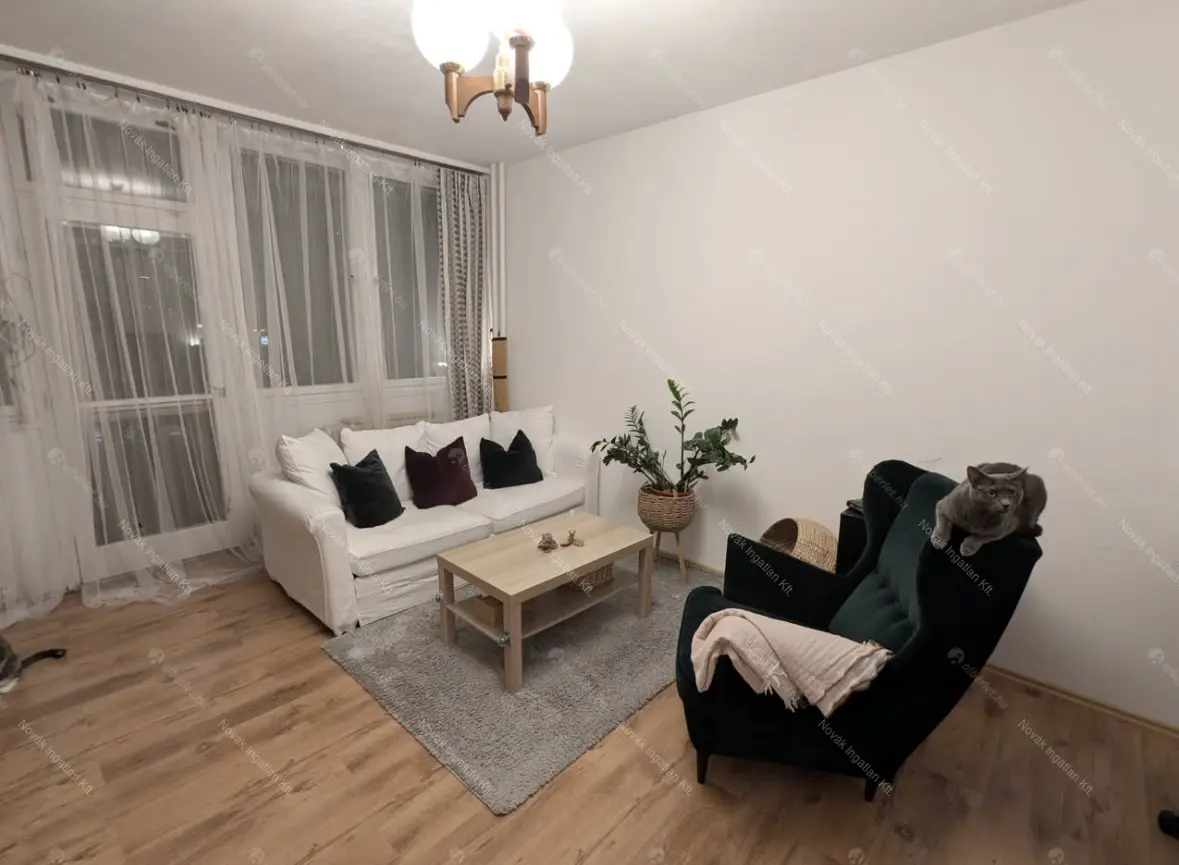 Kiadó albérlet 200000 Ft/hó áron: Budapest, XX. kerület  Bíró Mihály utca. Mérete: 49 nm, 2 szobás | Alberlet.hu - 6688710