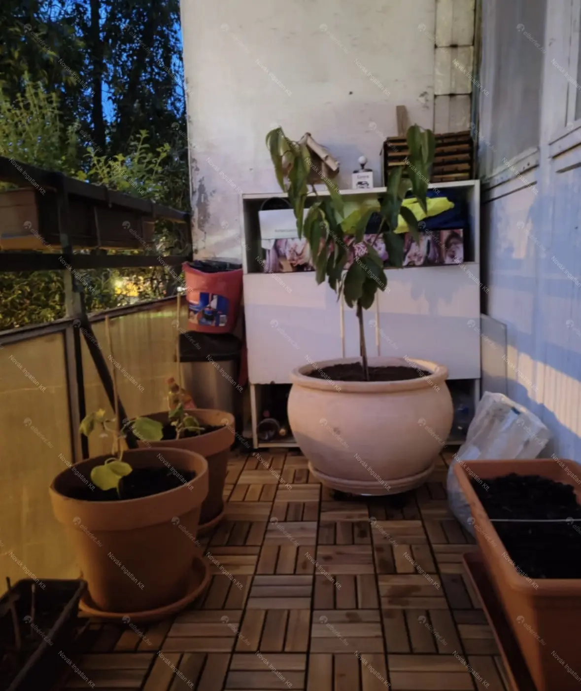 Kiadó albérlet 200000 Ft/hó áron: Budapest, XX. kerület  Bíró Mihály utca. Mérete: 49 nm, 2 szobás | Alberlet.hu - 6688716