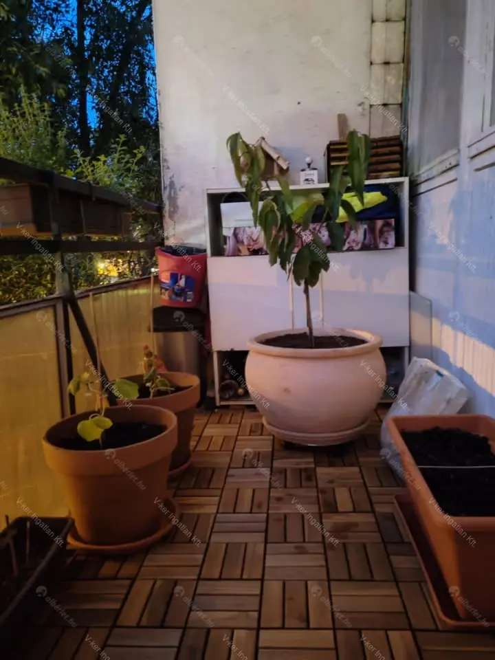 Kiadó albérlet 200000 Ft/hó áron: Budapest, XX. kerület  Bíró Mihály utca. Mérete: 49 nm, 2 szobás | Alberlet.hu - 6689013