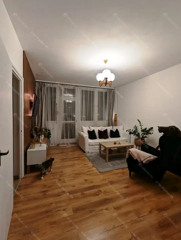 Kiadó albérlet 200000 Ft/hó áron: Budapest, XX. kerület  Bíró Mihály utca. Mérete: 49 nm, 2 szobás | Alberlet.hu - 6689017