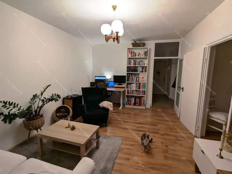 Kiadó albérlet 200000 Ft/hó áron: Budapest, XX. kerület  Bíró Mihály utca. Mérete: 49 nm, 2 szobás | Alberlet.hu - 6689018