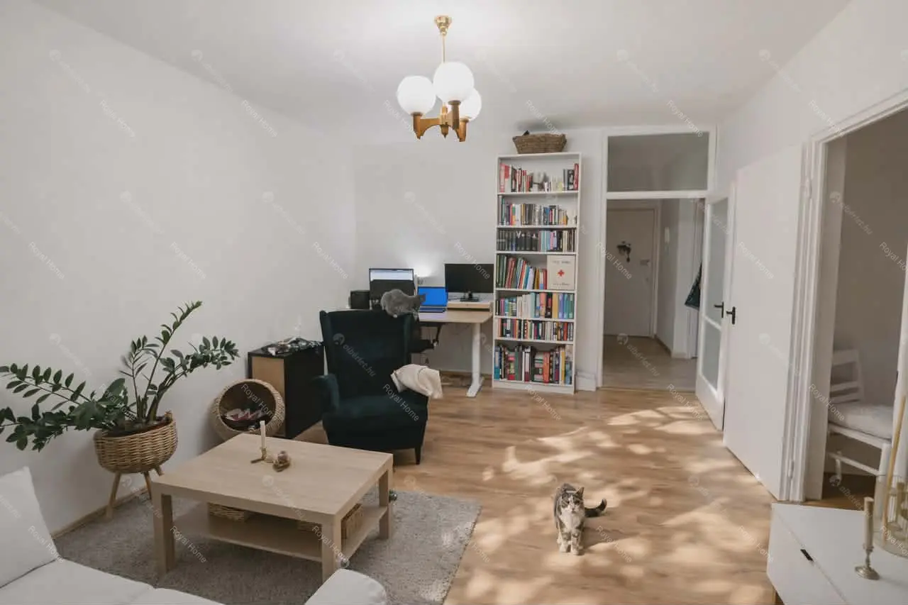 Kiadó albérlet 199000 Ft/hó áron: Budapest, XX. kerület  Bíró Mihály utca. Mérete: 49 nm, 2 szobás | Alberlet.hu - 6691232