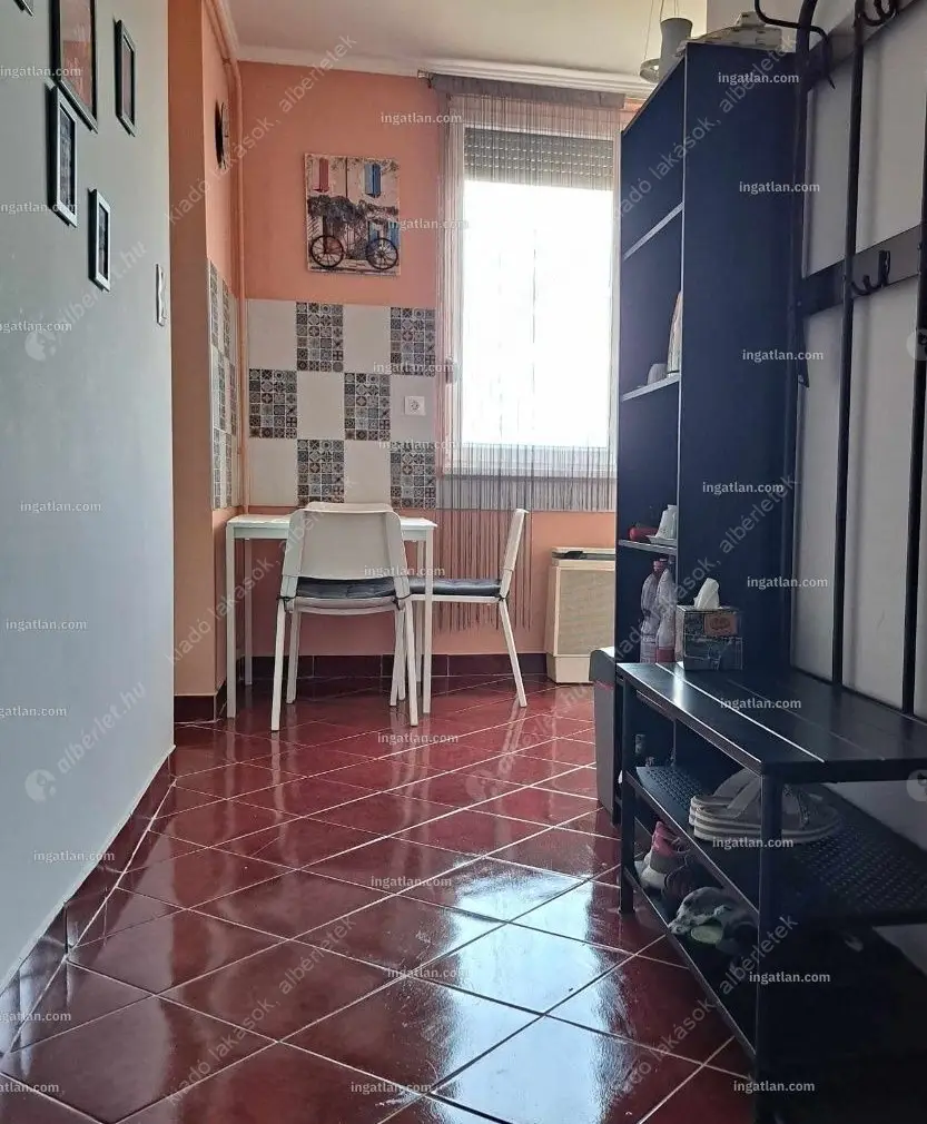 Kiadó albérlet 230000 Ft/hó áron: Budapest, XX. kerület  Török Flóris utca. Mérete: 56 nm, 2 szobás | Alberlet.hu - 6621361