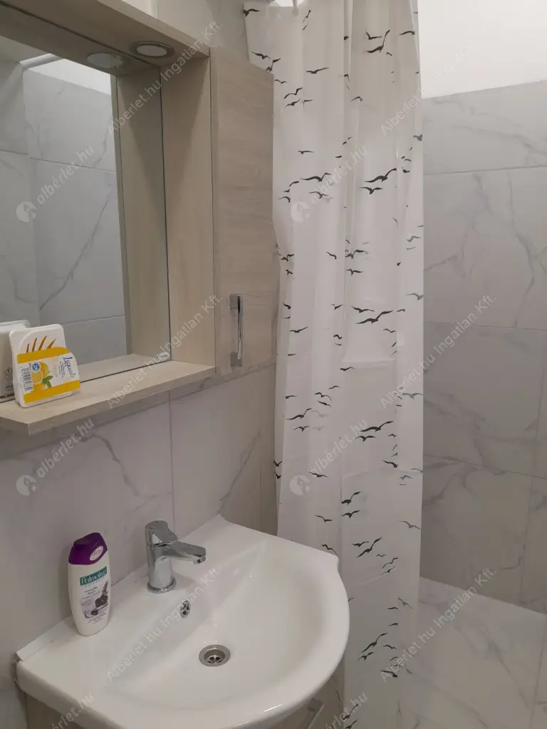 Kiadó albérlet 180000 Ft/hó áron: Budapest, XX. kerület  Virág Benedek utca. Mérete: 36 nm, 1 szobás | Alberlet.hu - 6602700