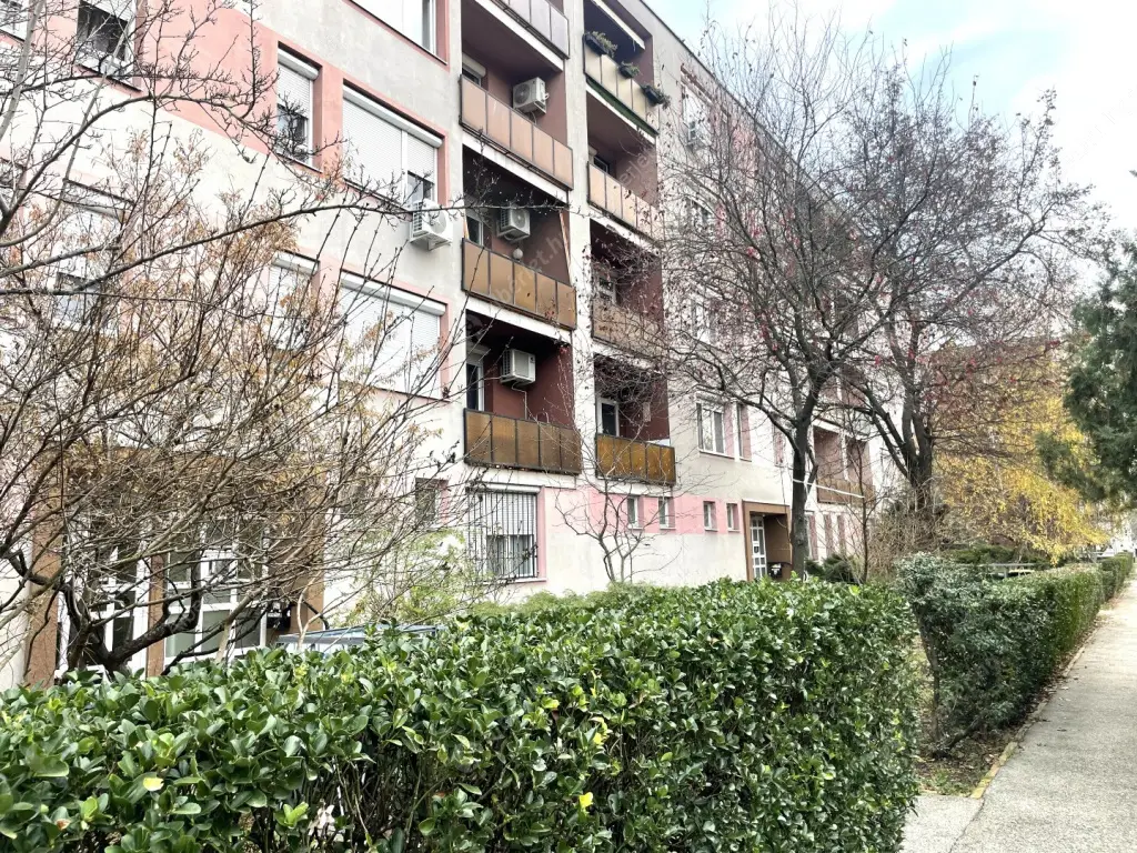 Kiadó albérlet 190000 Ft/hó áron: Budapest, XXI. kerület  Templom utca. Mérete: 38 nm, 1 szobás | Alberlet.hu - 6594894