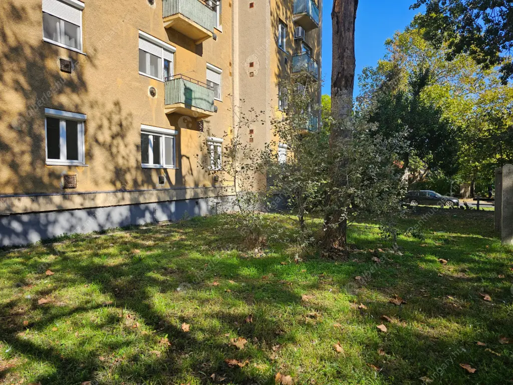 Kiadó albérlet 195000 Ft/hó áron: Budapest, XXI. kerület  Úrhajós utca. Mérete: 50 nm, 2 szobás | Alberlet.hu - 6588795