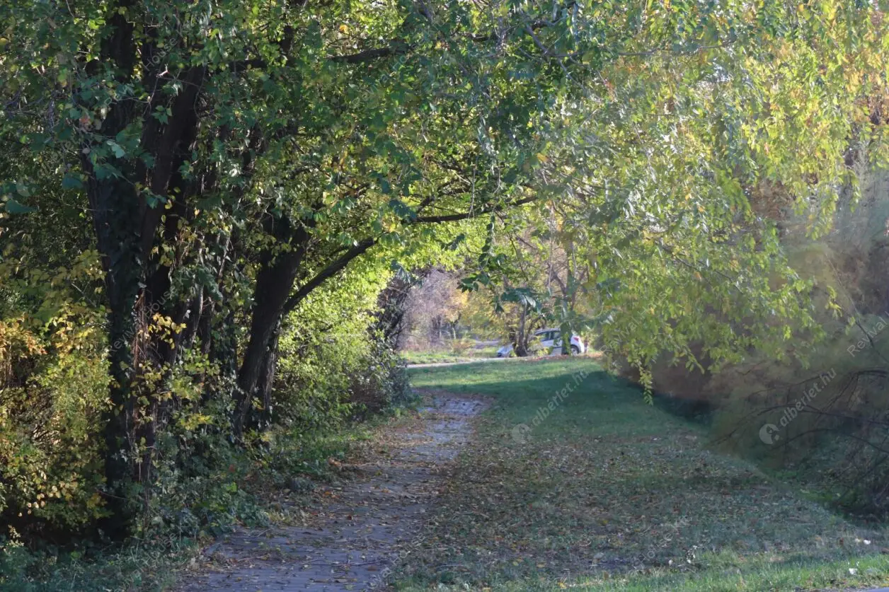 Kiadó albérlet 790000 Ft/hó áron: Budapest, XXII. kerület  Csiperke utca. Mérete: 182 nm, 7 szobás | Alberlet.hu - 6595167