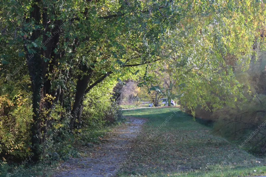 Kiadó albérlet 790000 Ft/hó áron: Budapest, XXII. kerület  Csiperke utca. Mérete: 182 nm, 7 szobás | Alberlet.hu - 6597644
