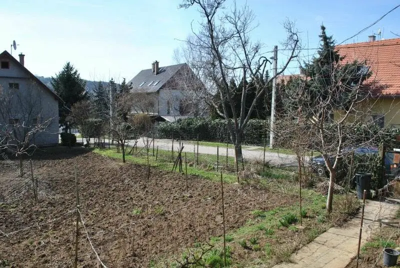 Kiadó albérlet 275000 Ft/hó áron: Budapest, XXII. kerület  Tövis utca. Mérete: 55 nm, 3 szobás | Alberlet.hu - 6701564