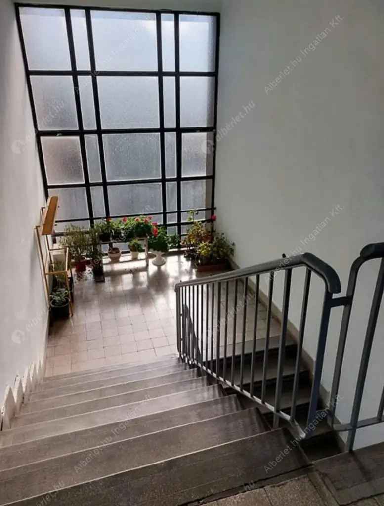 Kiadó albérlet 180000 Ft/hó áron: Budapest, XXIII. kerület  Nyír  utca . Mérete: 41 nm, 2 szobás | Alberlet.hu - 6590036