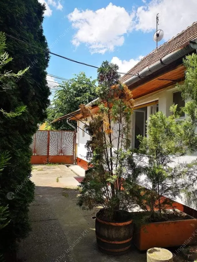 Kiadó albérlet 180000 Ft/hó áron: Budapest, XXIII. kerület  Táncsics Mihály utca. Mérete: 50 nm, 2 szobás | Alberlet.hu - 6604453