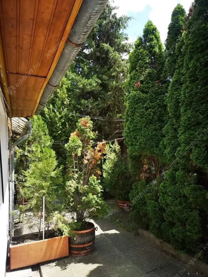 Kiadó albérlet 180000 Ft/hó áron: Budapest, XXIII. kerület  Táncsics Mihály utca. Mérete: 50 nm, 2 szobás | Alberlet.hu - 6604455