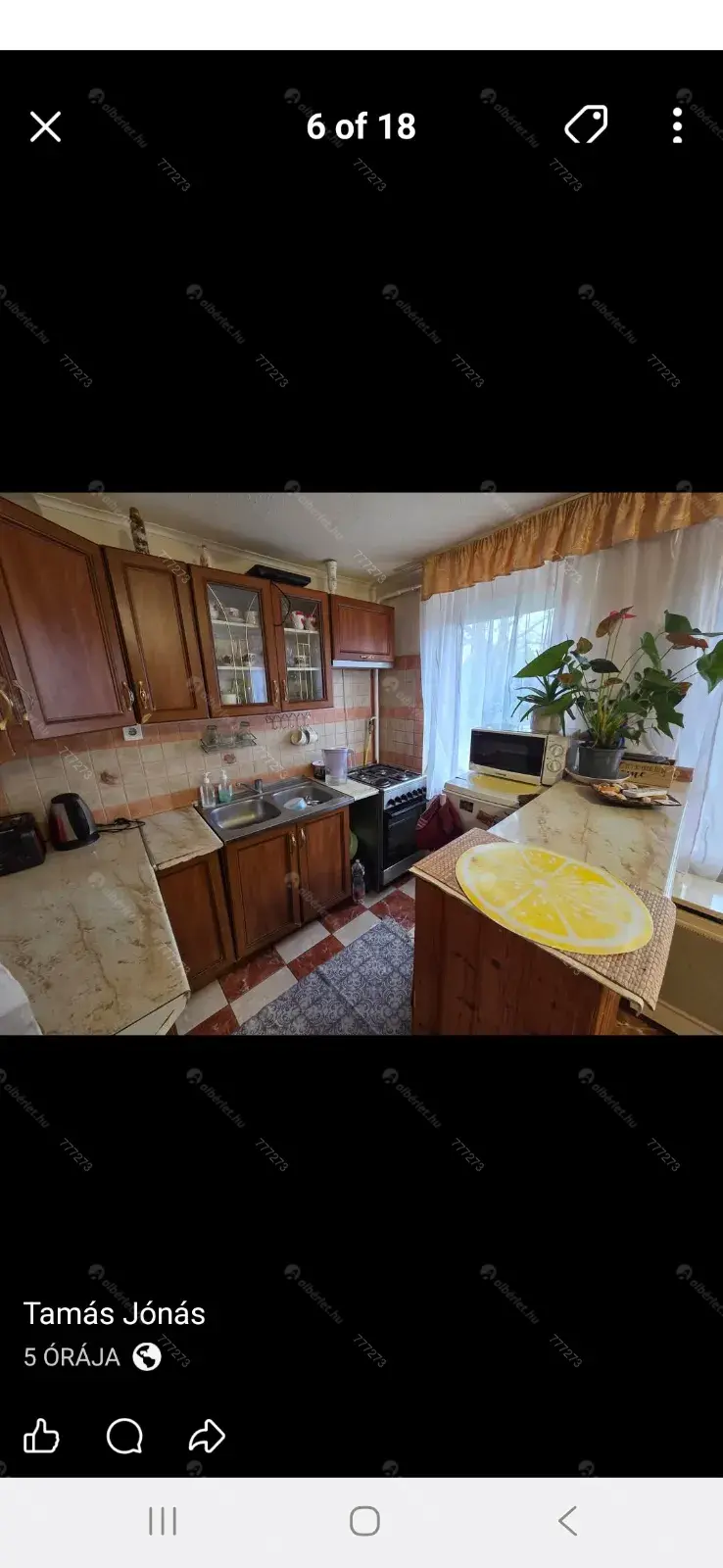 Kiadó albérlet 166000 Ft/hó áron: Debrecen,  Kékszilva . Mérete: 70 nm, 2 szobás | Alberlet.hu - 6701370