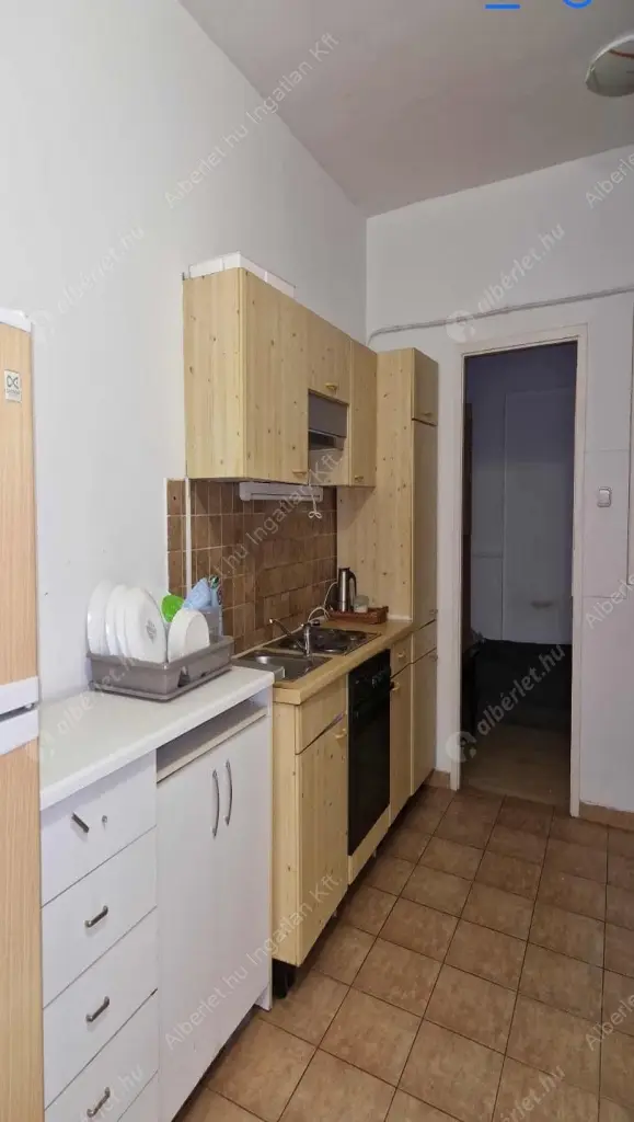 Kiadó albérlet 500000 Ft/hó áron: Gödöllő,  Szabadság útja . Mérete: 90 nm, 3 szobás | Alberlet.hu - 6565365