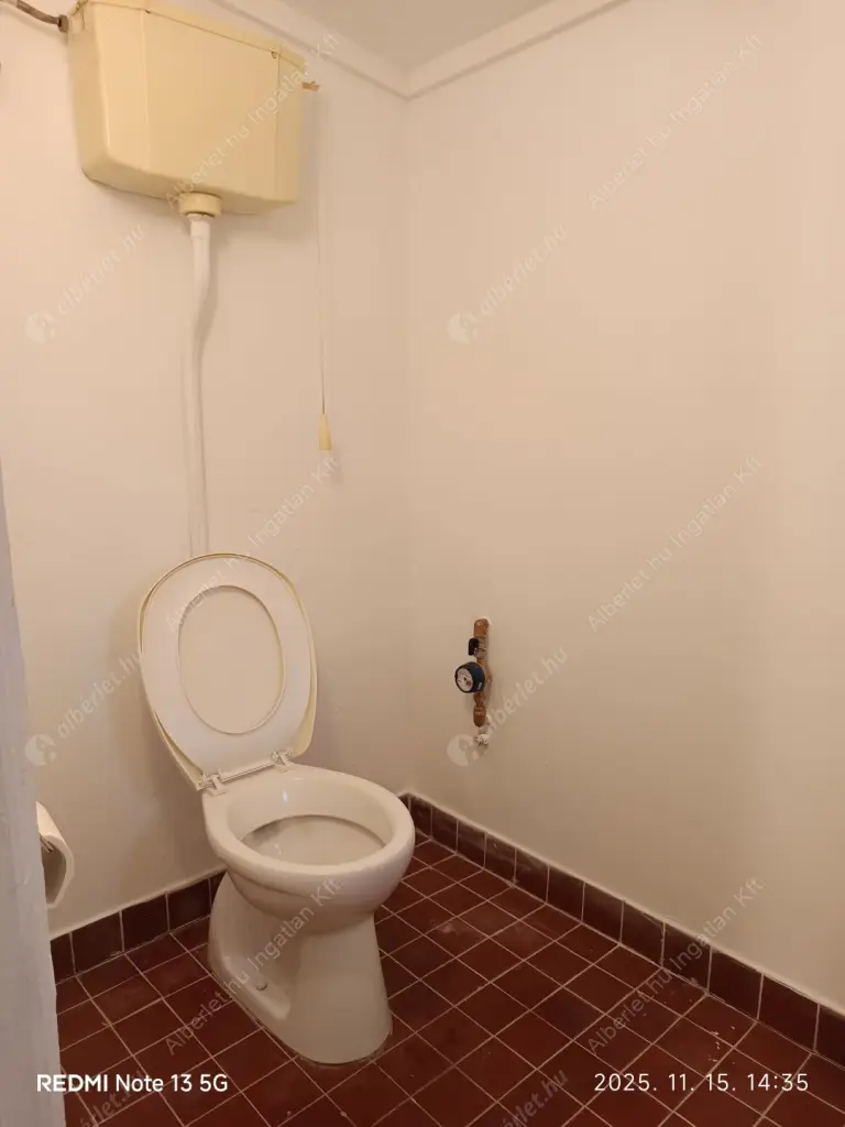 Kiadó albérlet 260000 Ft/hó áron: Gyömrő,  Nefelejcs utca. Mérete: 50 nm, 1 szobás | Alberlet.hu - 6601163