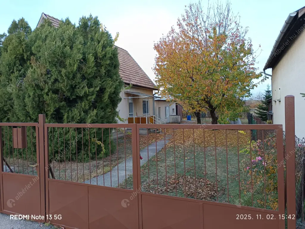 Kiadó albérlet 260000 Ft/hó áron: Gyömrő,  Nefelejcs utca. Mérete: 85 nm, 1 szobás | Alberlet.hu - 6599492