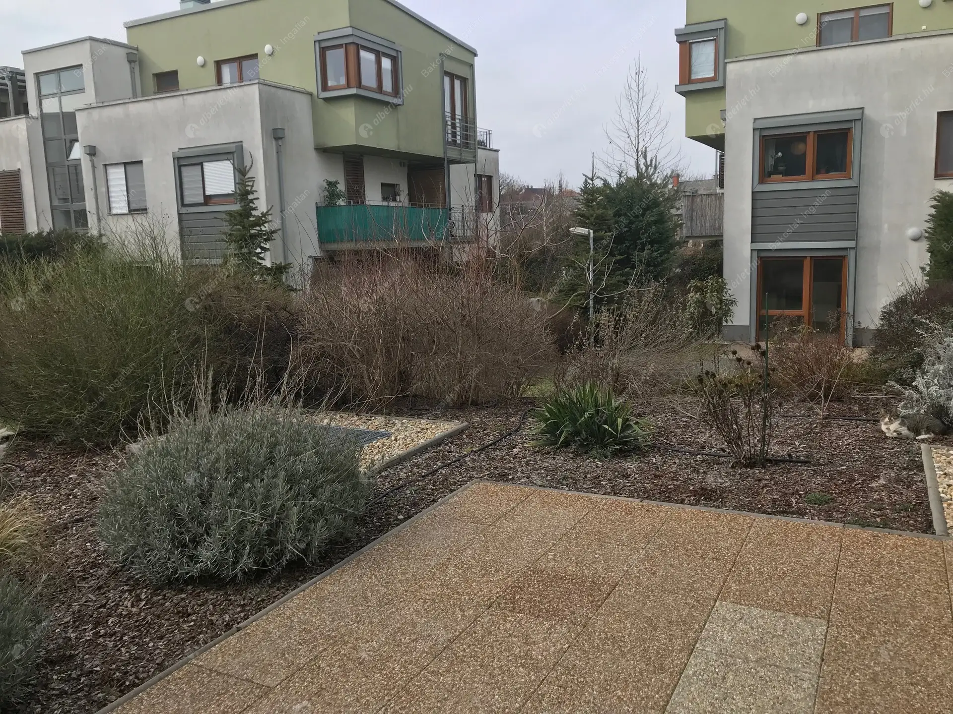 Kiadó albérlet 220000 Ft/hó áron: Herceghalom,  Kiserdő utca . Mérete: 43 nm, 2 szobás | Alberlet.hu - 5935774