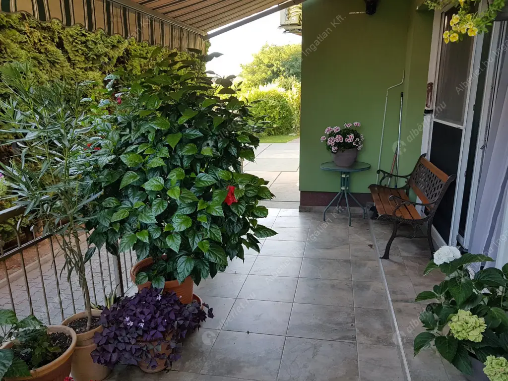 Kiadó albérlet 320000 Ft/hó áron: Maglód,  Tompa Mihály  utca . Mérete: 120 nm, 2 szobás | Alberlet.hu - 6573558