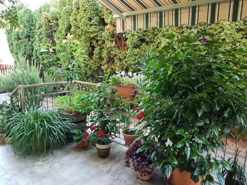 Kiadó albérlet 320000 Ft/hó áron: Maglód,  Tompa Mihály  utca . Mérete: 120 nm, 2 szobás | Alberlet.hu - 6574997