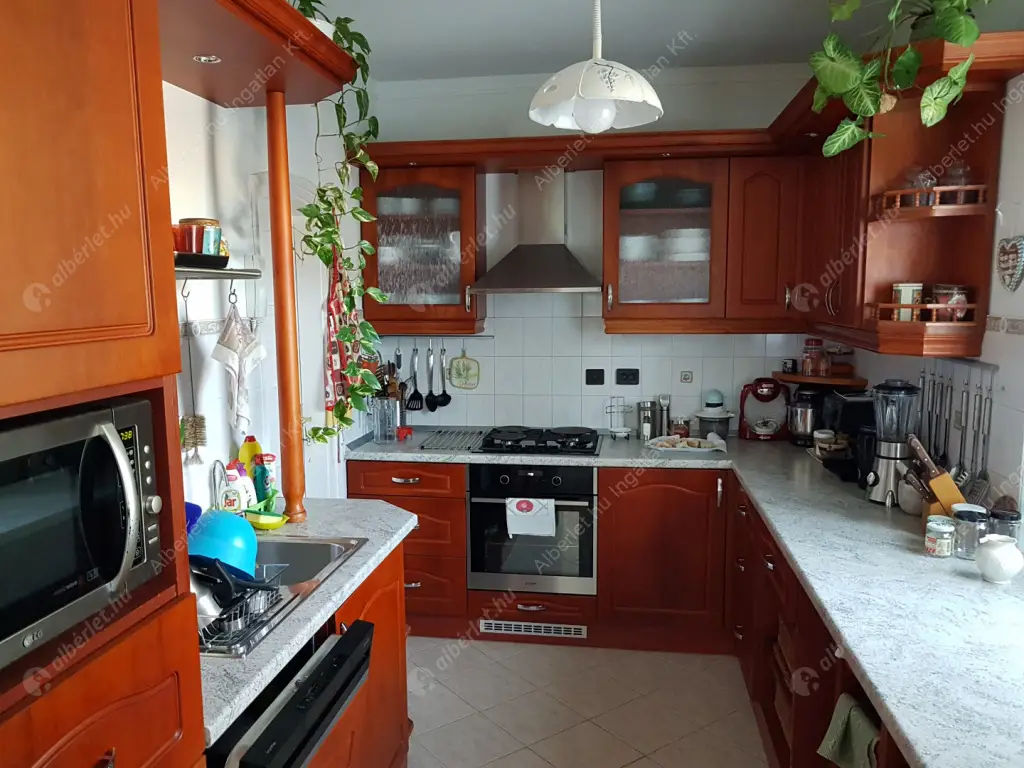 Kiadó albérlet 320000 Ft/hó áron: Maglód,  Tompa Mihály  utca . Mérete: 120 nm, 2 szobás | Alberlet.hu - 6574998