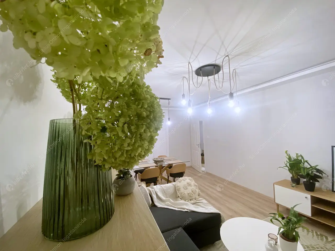 Kiadó albérlet 250000 Ft/hó áron: Százhalombatta,  Liszt Ferenc sétány. Mérete: 55 nm, 2 szobás | Alberlet.hu - 6124933