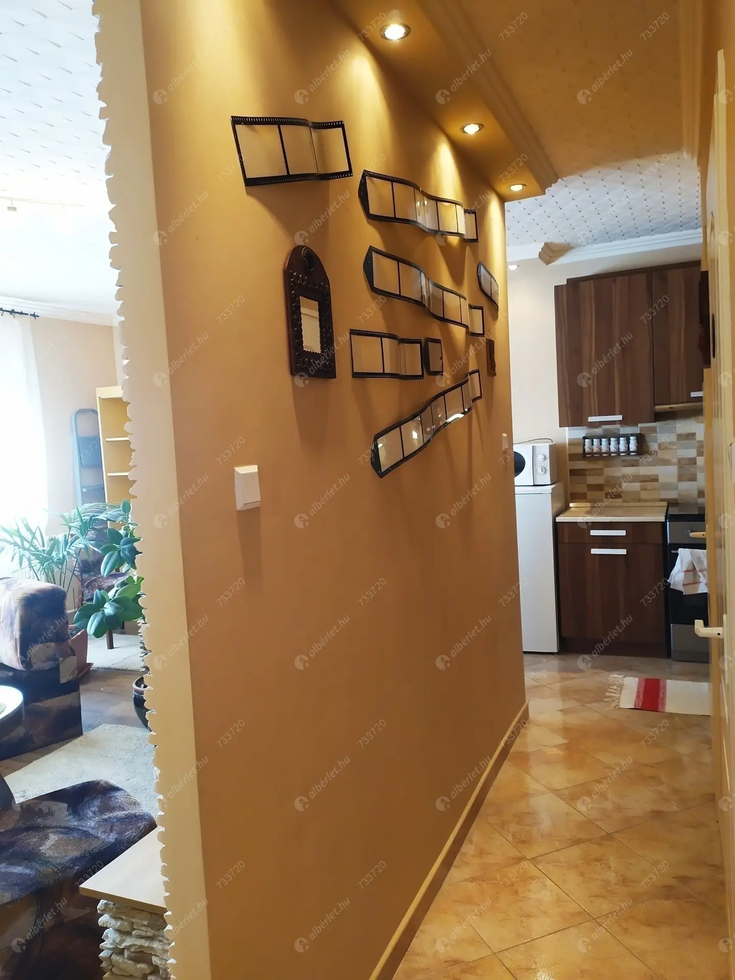 Kiadó albérlet 150000 Ft/hó áron: Szolnok,  Ady Endre út  . Mérete: 49 nm, 1 szobás | Alberlet.hu - 6058564