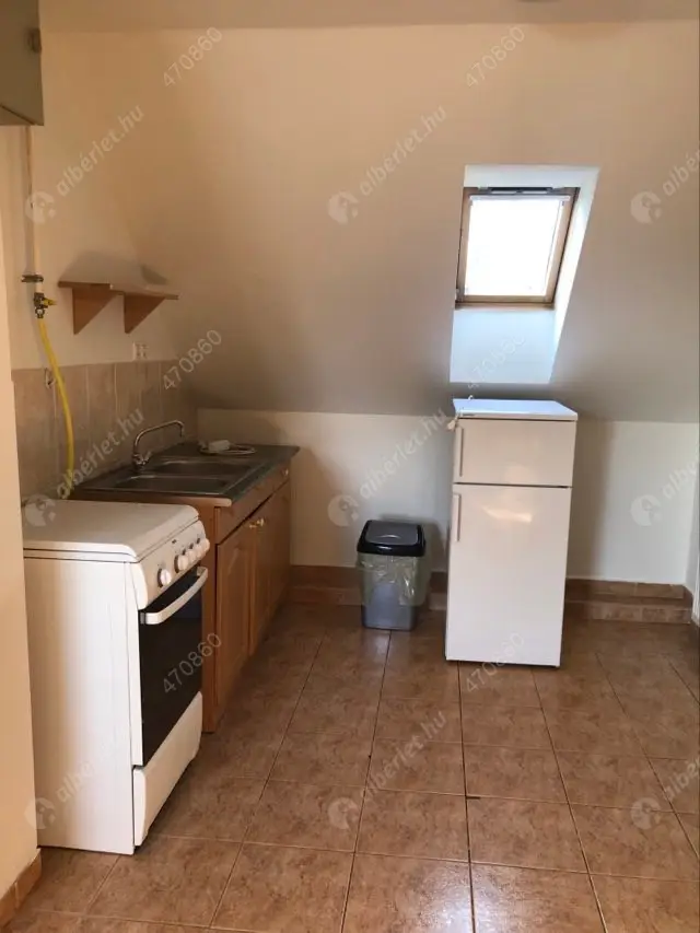 Kiadó albérlet 120000 Ft/hó áron: Szolnok,  Vízpart körút. Mérete: 42 nm, 1 szobás | Alberlet.hu - 5589046