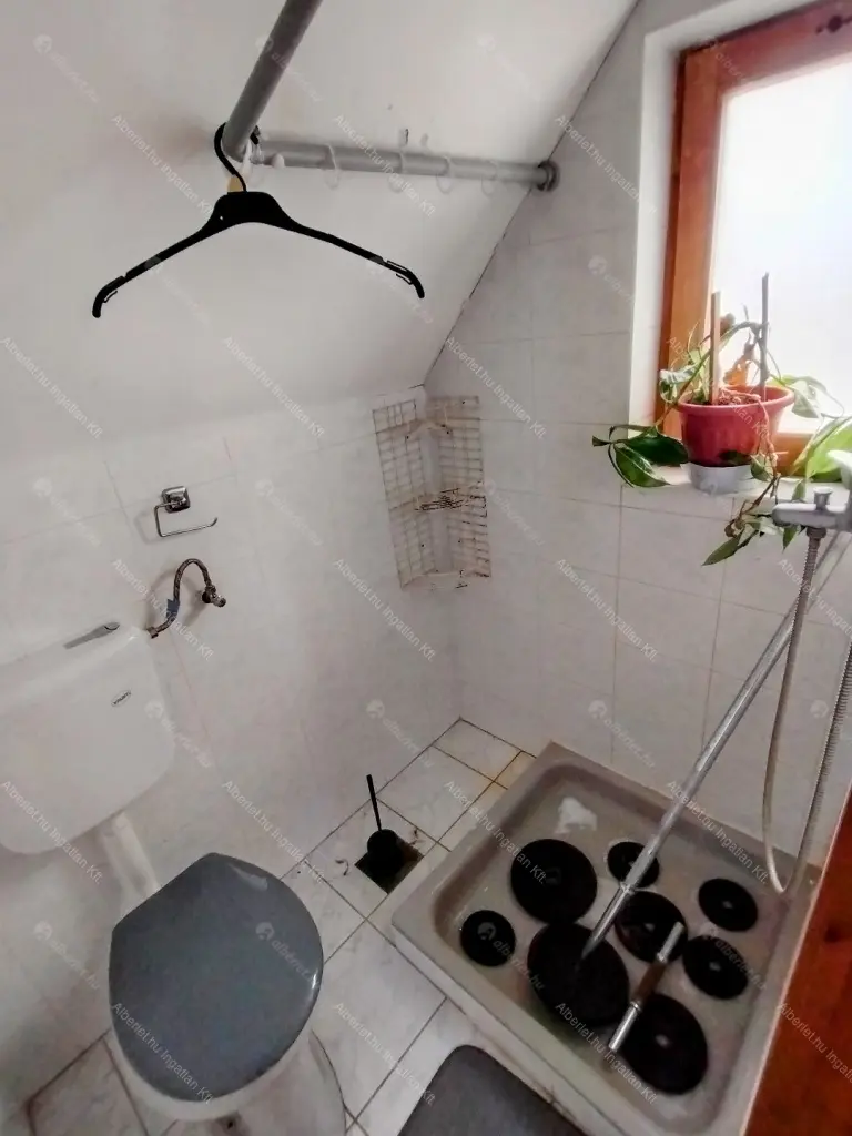 Kiadó albérlet 250000 Ft/hó áron: Törökbálint ,  Rozmaring utca. Mérete: 55 nm, 2 szobás | Alberlet.hu - 6692050