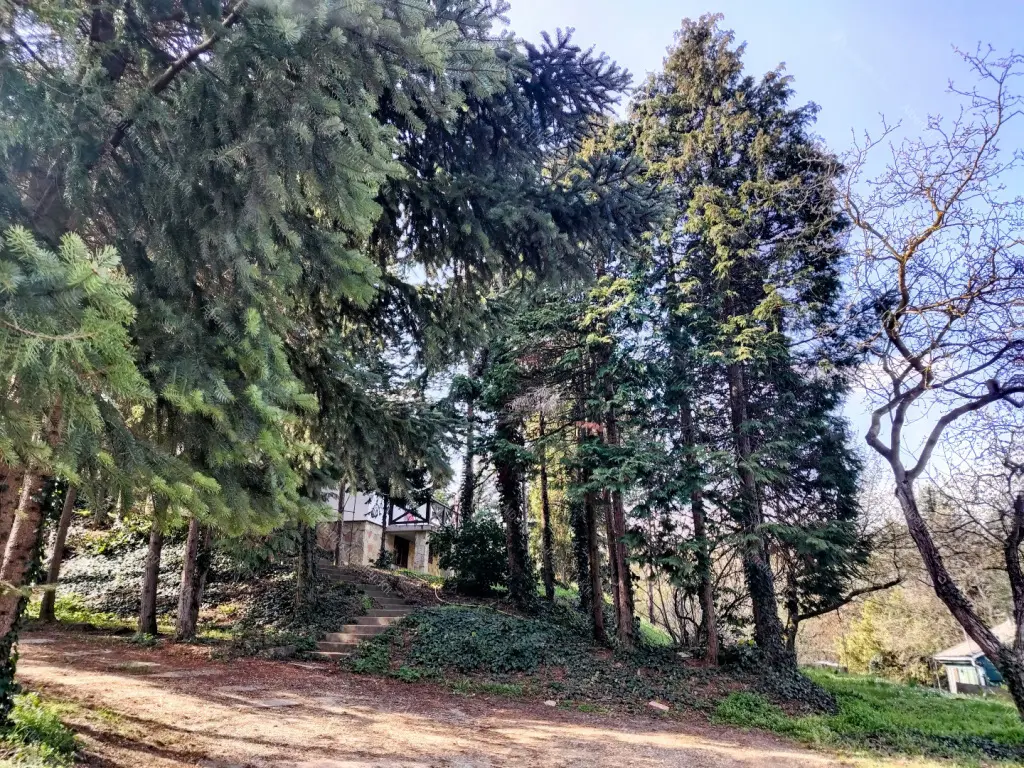 Kiadó albérlet 250000 Ft/hó áron: Törökbálint ,  Rozmaring utca. Mérete: 55 nm, 2 szobás | Alberlet.hu - 6692062