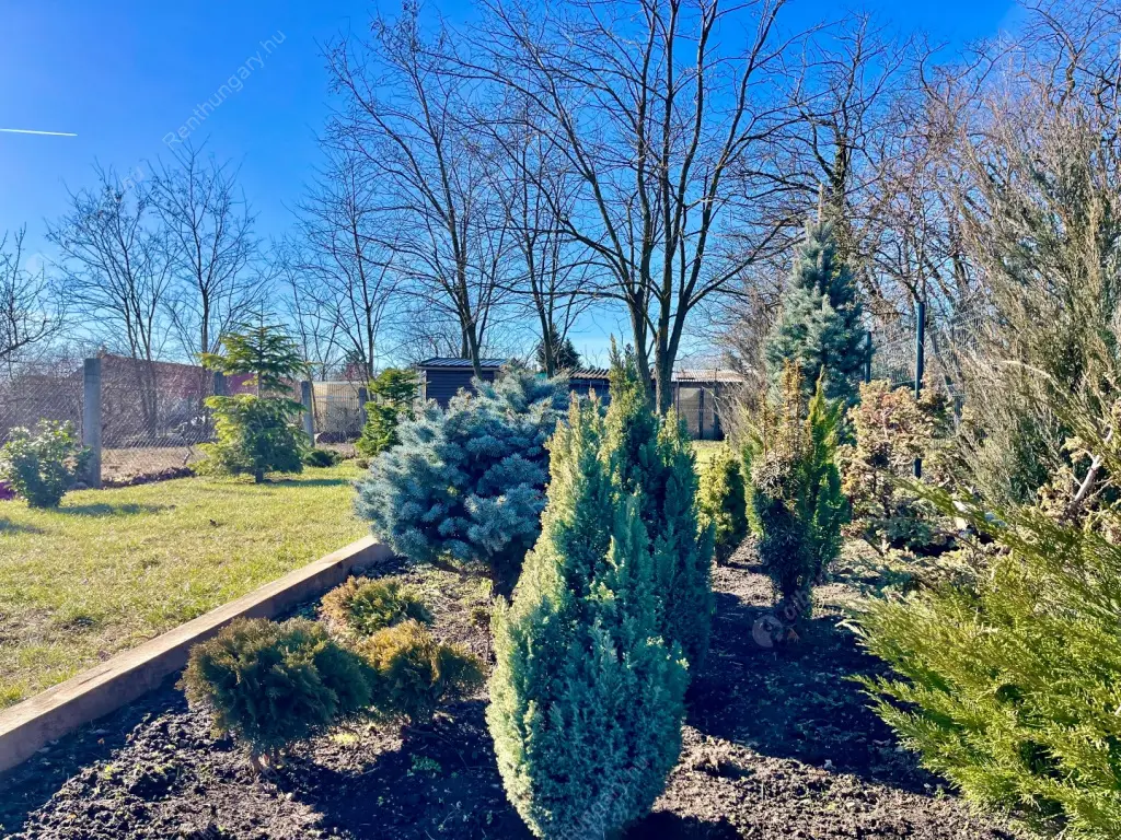 Kiadó albérlet 550000 Ft/hó áron: Törökbálint ,  Tátika utca. Mérete: 100 nm, 3 szobás | Alberlet.hu - 6179716