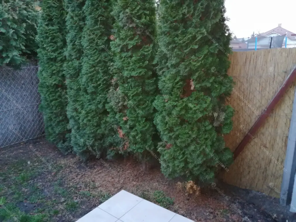 Kiadó albérlet 310000 Ft/hó áron: Üllő,  Bozsik József körút. Mérete: 80 nm, 2 szobás | Alberlet.hu - 6673232