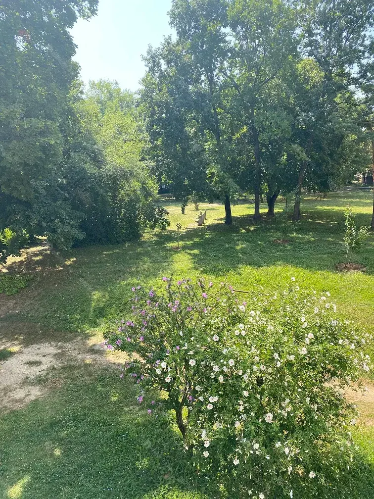 Kiadó albérlet 175000 Ft/hó áron: Veszprém,  Csikász Imre utca. Mérete: 52 nm, 2 szobás | Alberlet.hu - 6649584