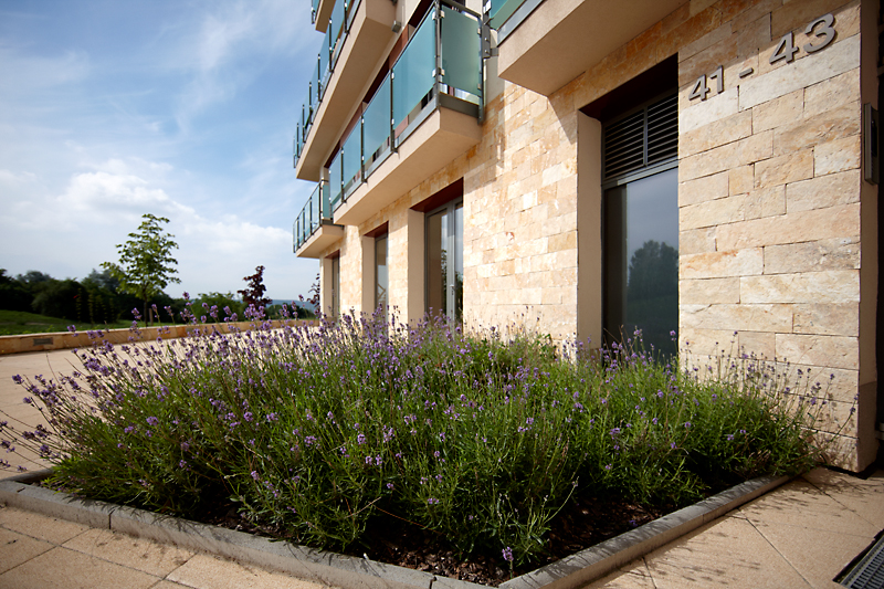 Új albérlet Cordia Terrace Residence 1 | Alberlet.hu - 203