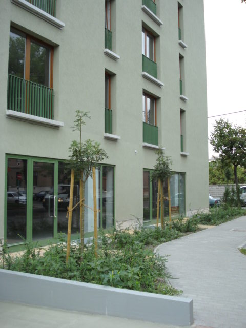 Új albérlet Angyali Otthon 2 | Alberlet.hu - 327