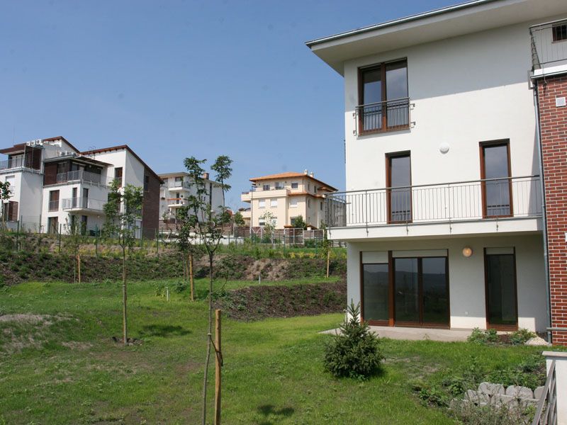 Új albérlet Madárhegy | Alberlet.hu - 461